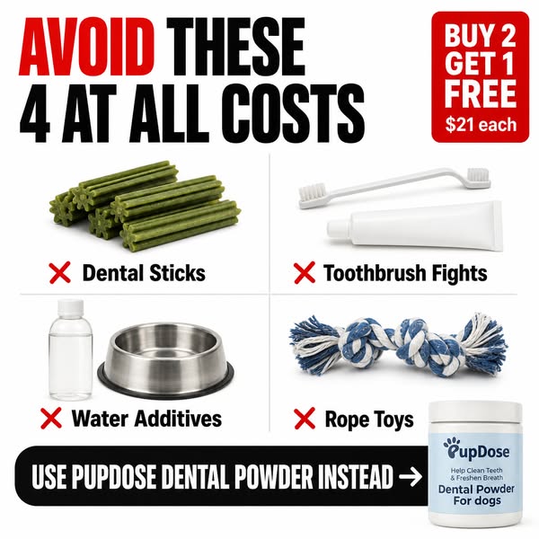 Buy 2, Get 1 Free