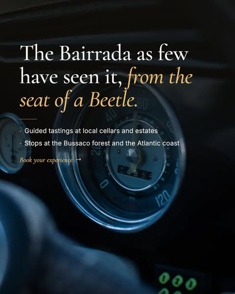 Classic Car Wine Tours, Portugal