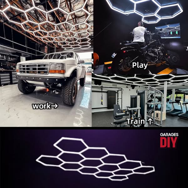 Work. Train. Play. One Lighting System.