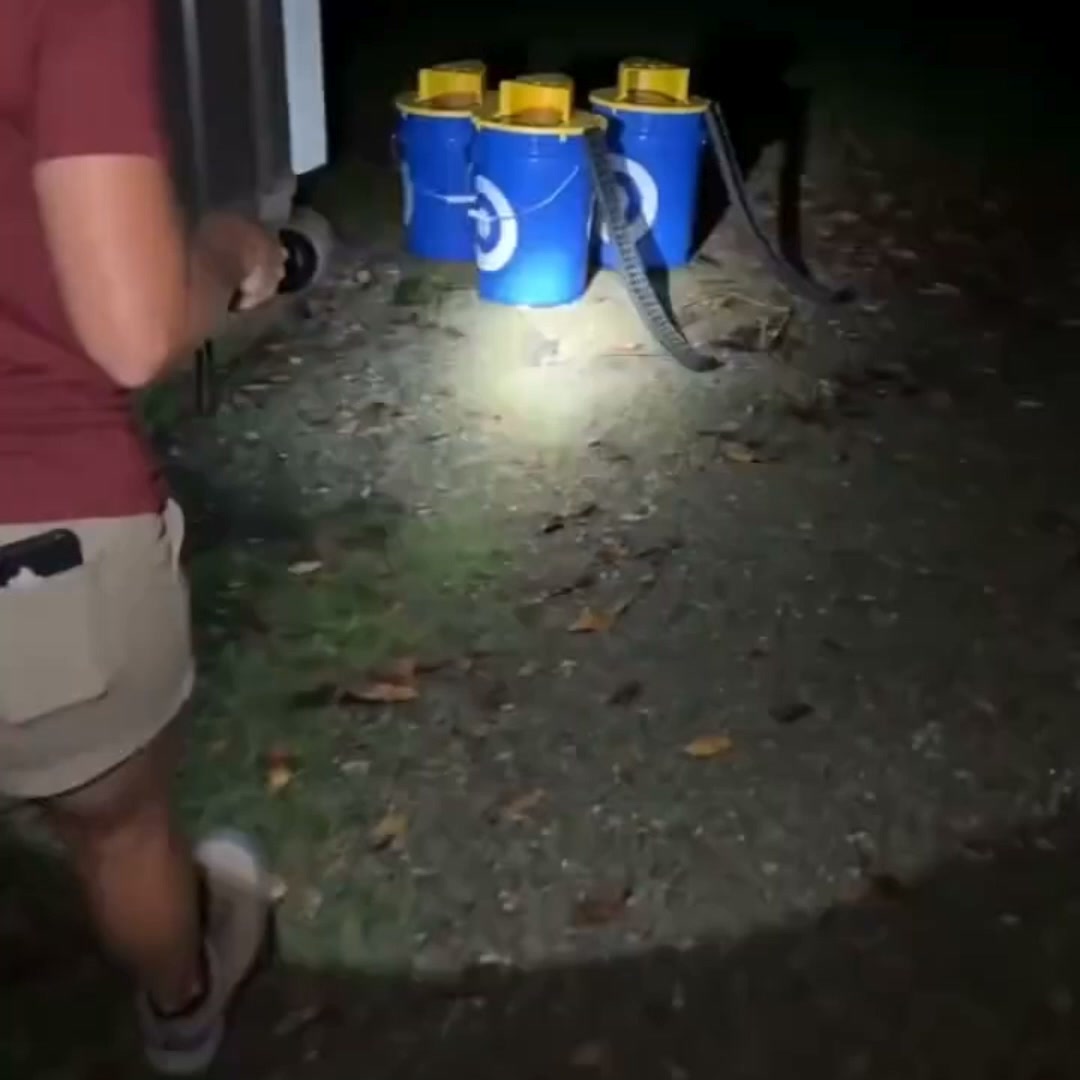 The Humane Way to End Your Rodent Problem