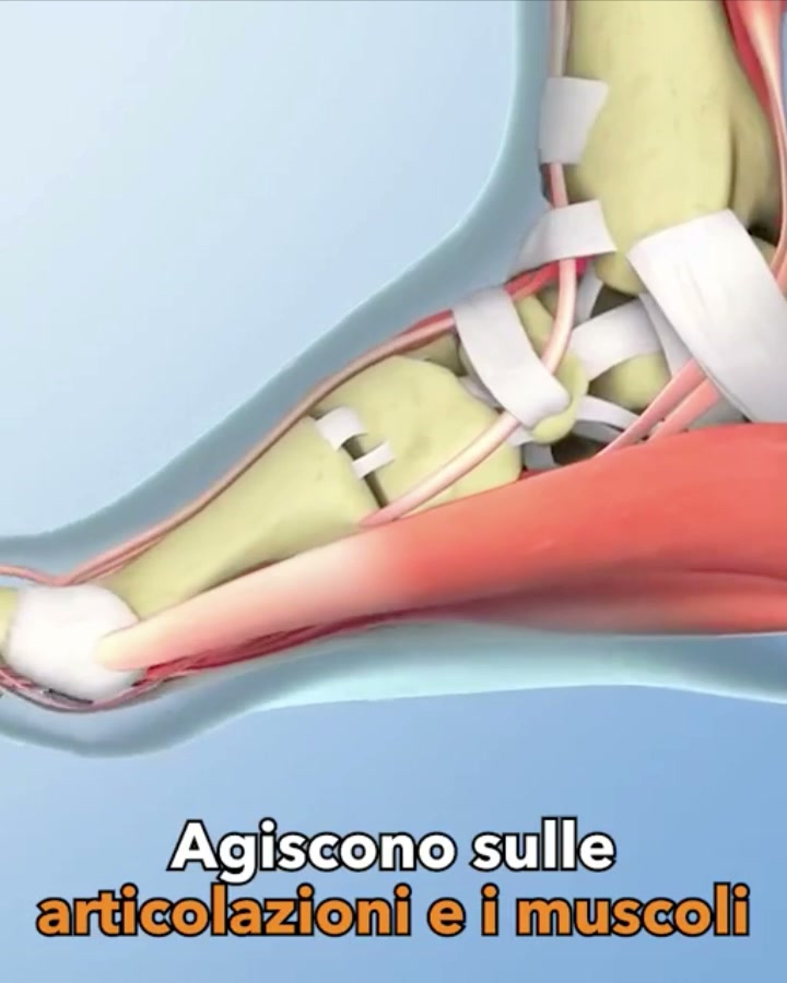 SPEDIZIONE GRATUITA - PAGAMENTO ALLA CONSEGNA