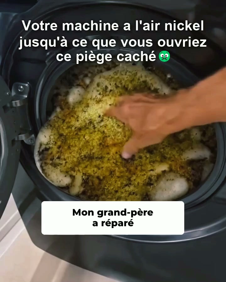Fini les bactéries et les odeurs d'animaux dans ta machine à laver