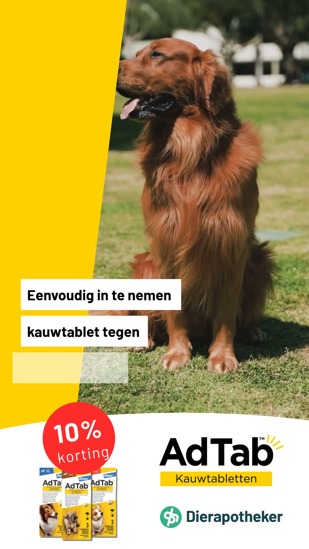 Shop nu bij de online Dierapotheker