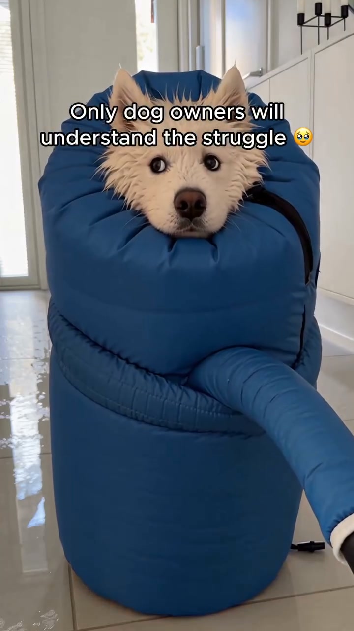 No More "Wet Dog Shake" Mess!