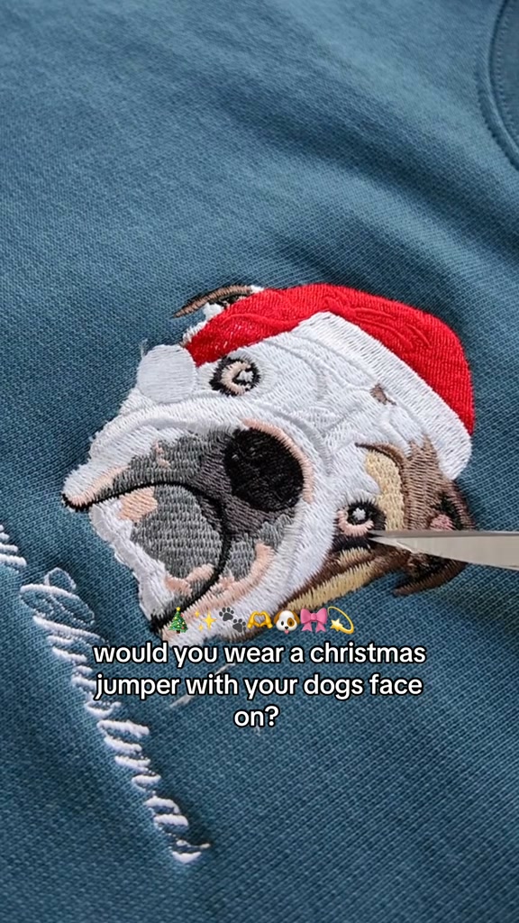 A Personalized Christmas Gift For Pet Lovers