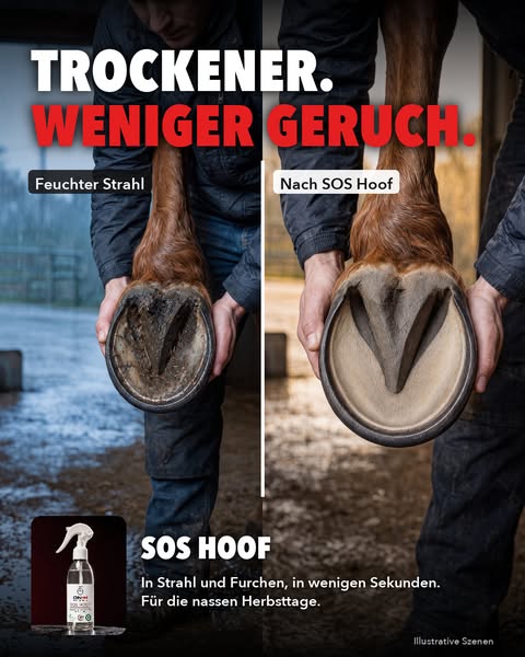 Trockener. Weniger Geruch.