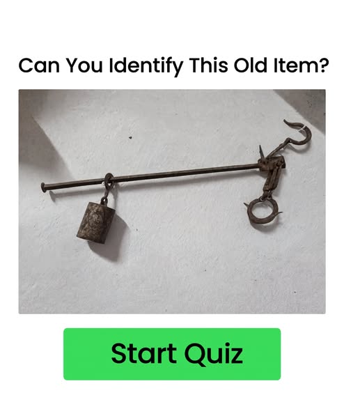 Only 7% Can Name These Vintage Items