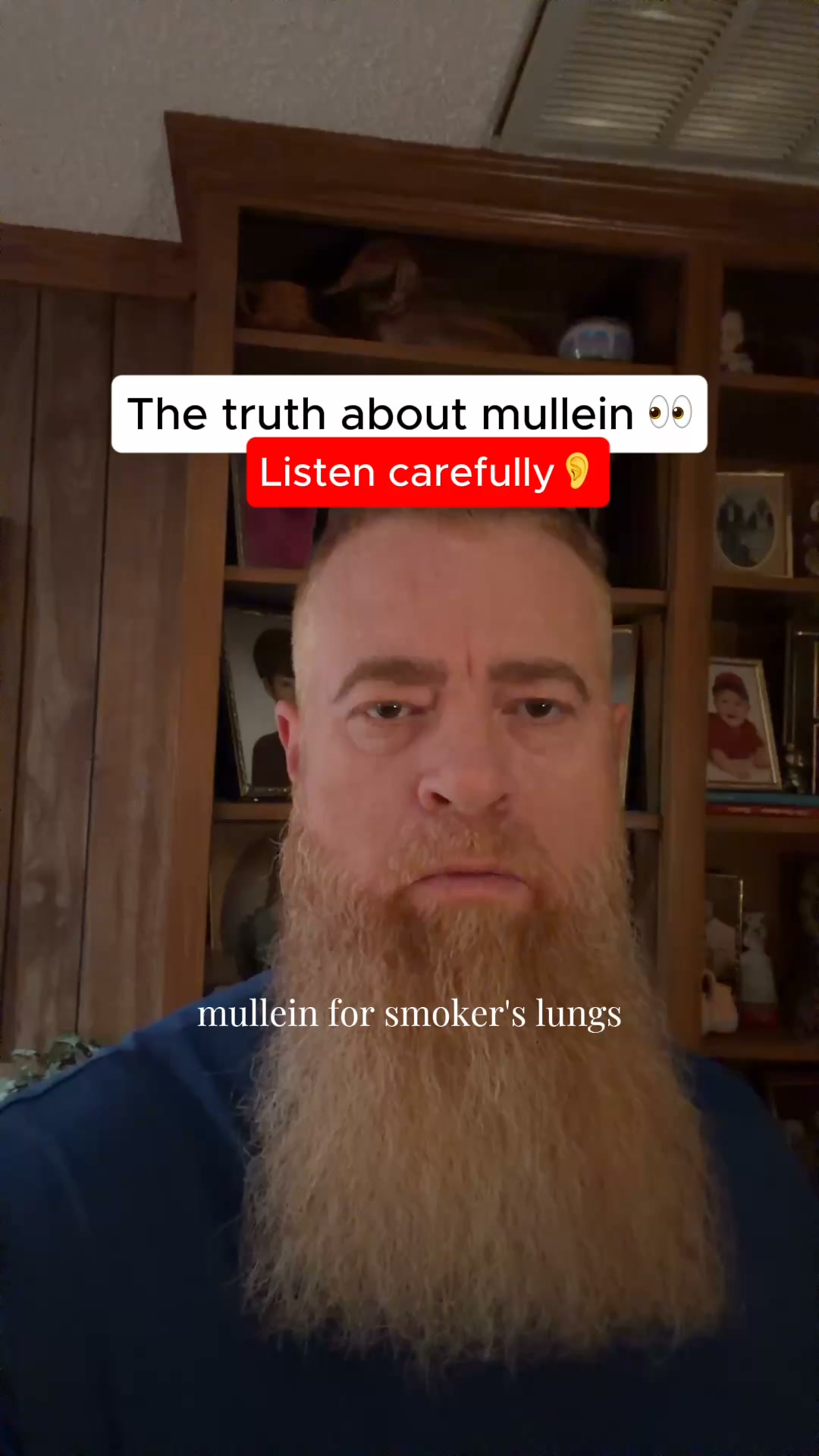 Exposing Mullein: The Truth Isn’t What You Think