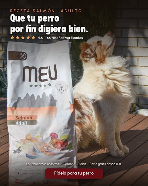 Heces firmes, digestiones estables