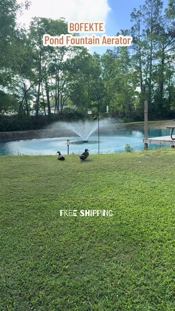 Create A Beautiful Backyard Pond