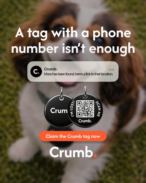Trusted By Over 600,000 Pet Parents