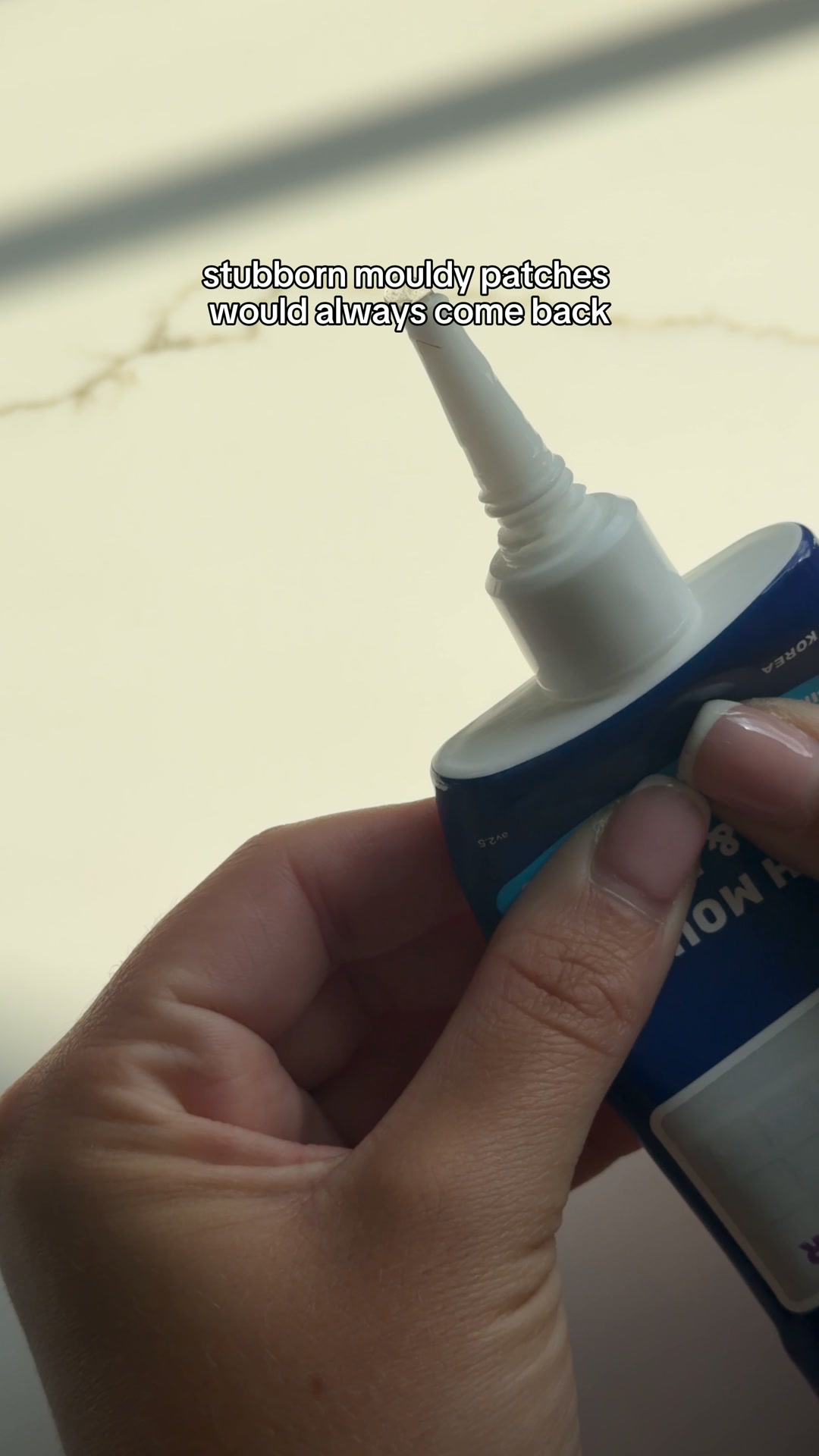 POWERFUL, no-nonsense mould remover!