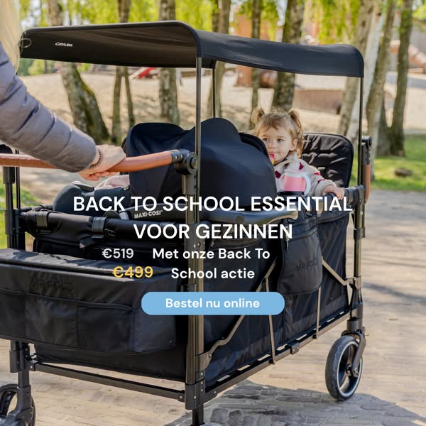 Back To School Rabatt auf den 4-Sitzer