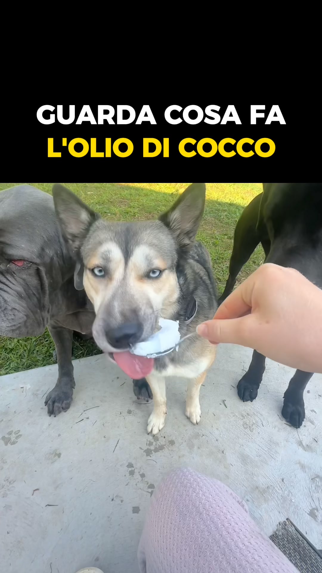 Finalmente — un metodo che funziona