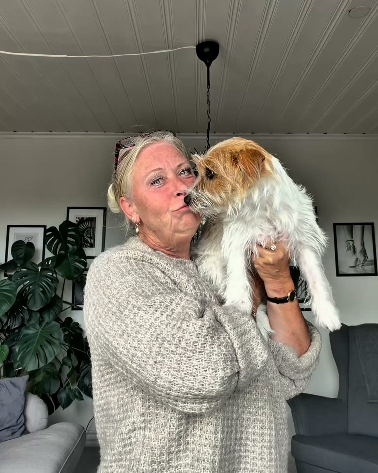 Höstkampanj 50% rabatt och fri frakt!
