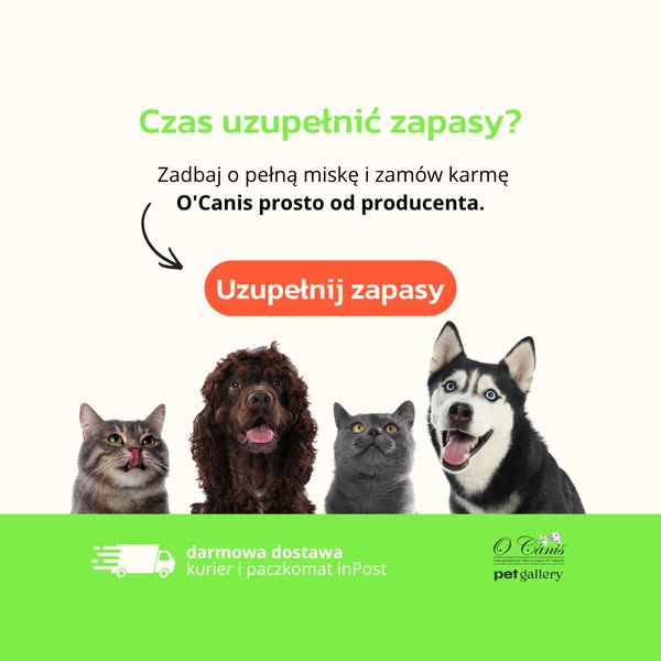 Twój koszyk czeka