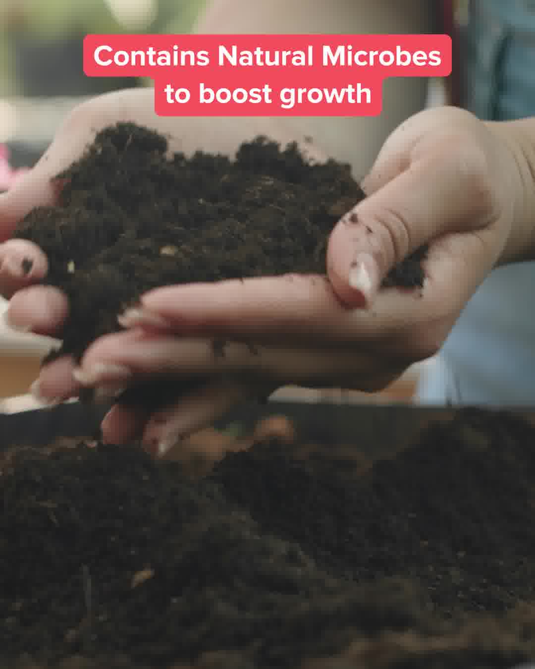 Natural soil conditioner