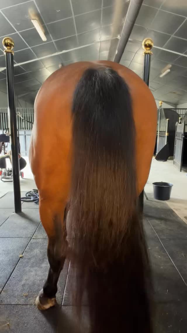 Anúncio de Neighked