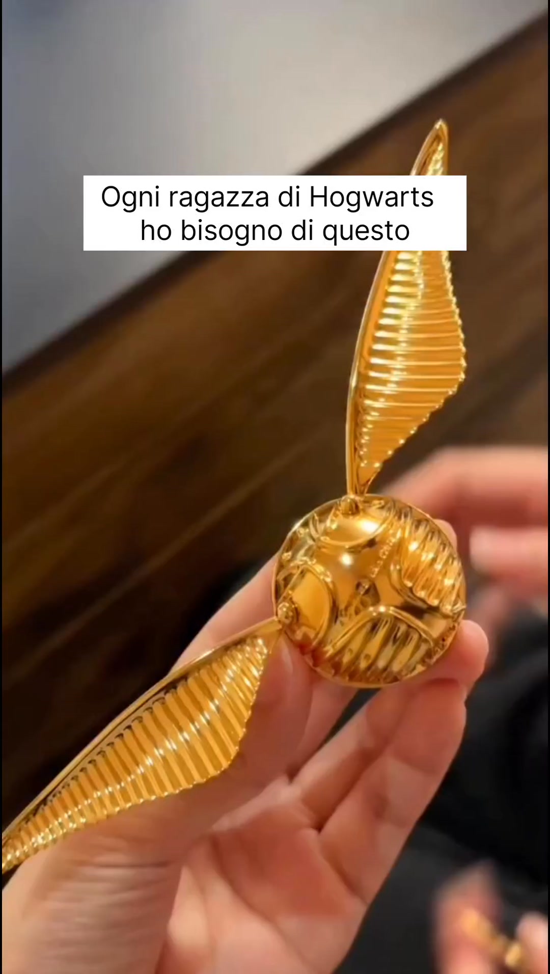 La collana che ogni fan di Harry Potter vorrebbe avere