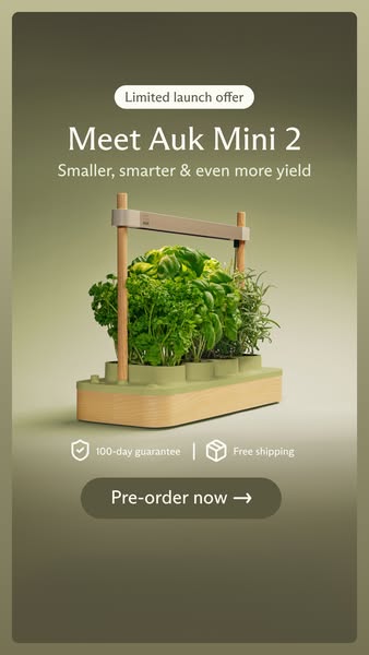 Meet the new Auk Mini 2