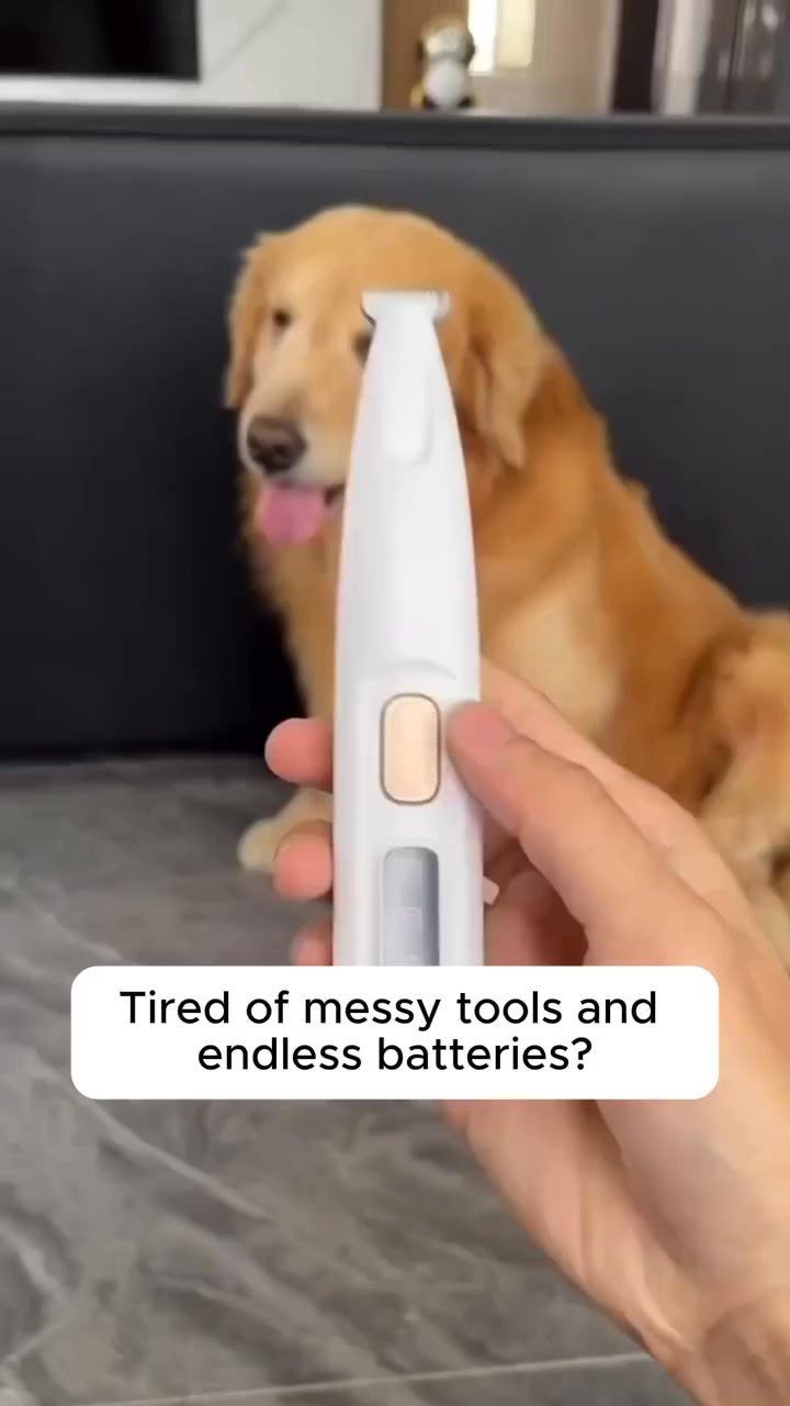 Stress-Free Grooming Now!