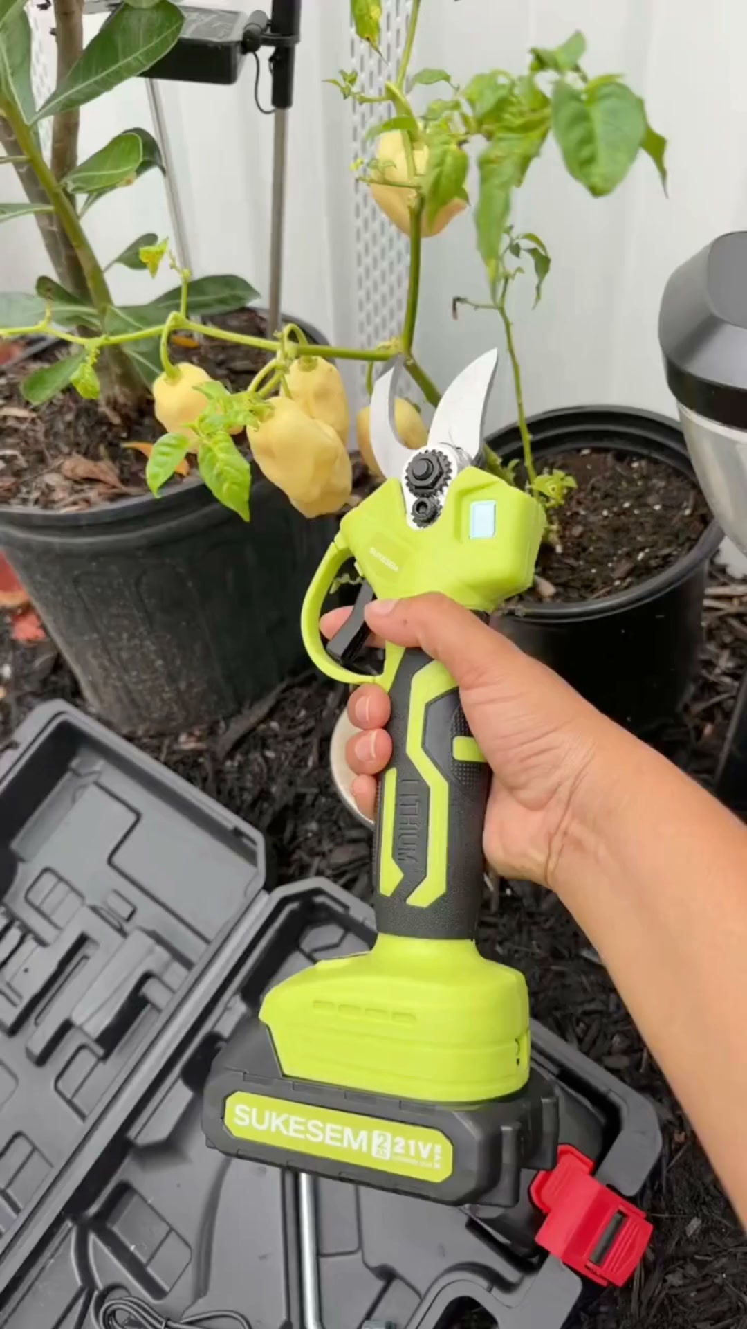 Cut Branches With Ease