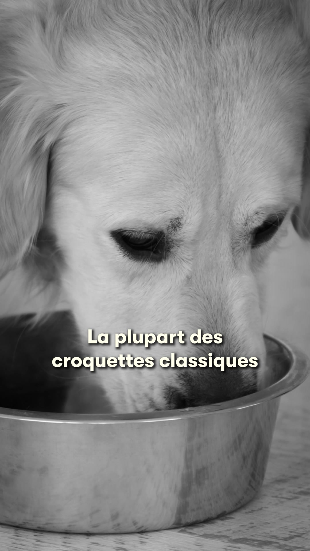 Alimentation premium sur mesure