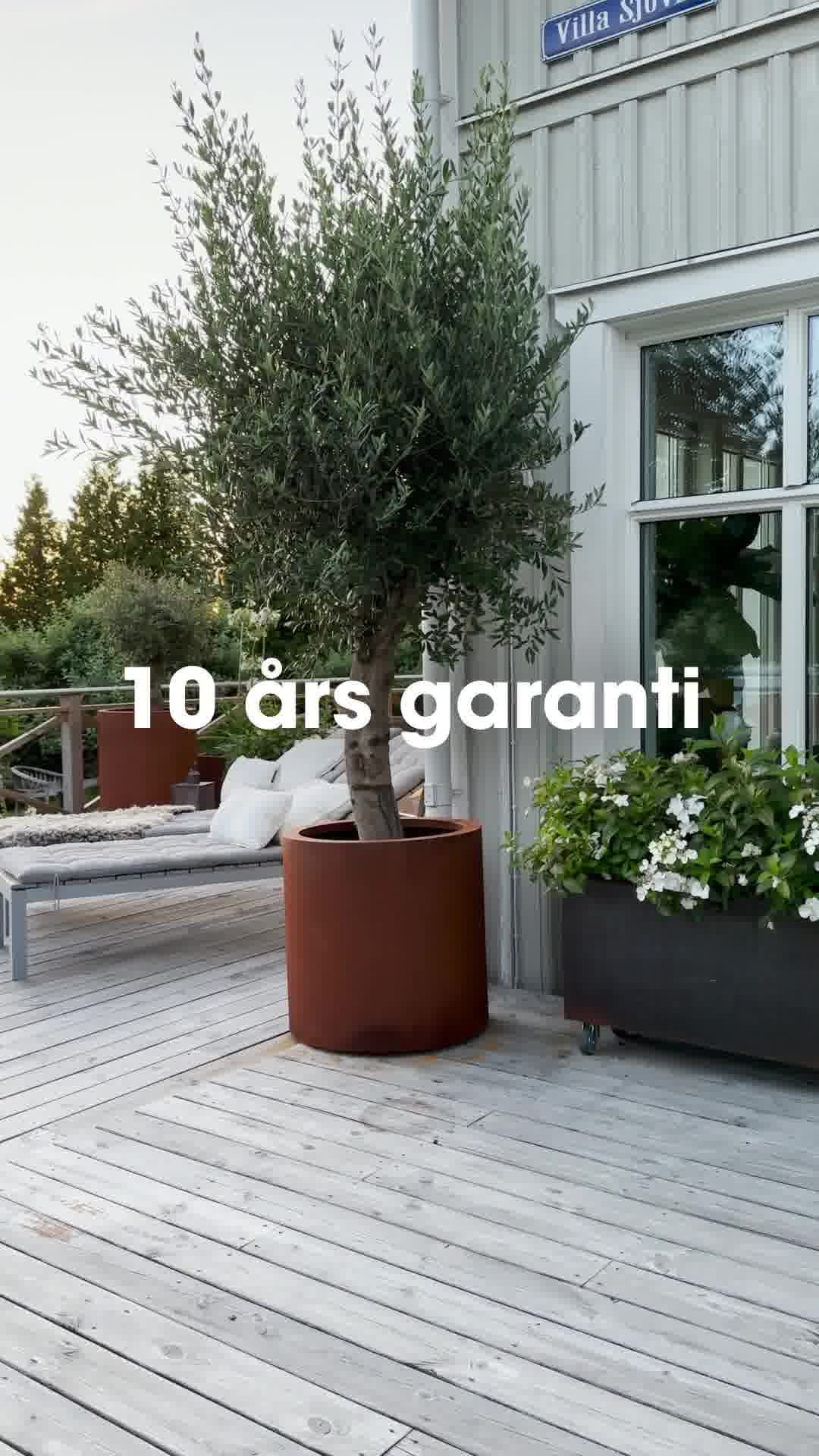 Skapa din drömträdgård