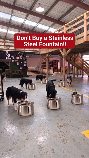 Don’t Buy a Stainless Steel Fountain!!!