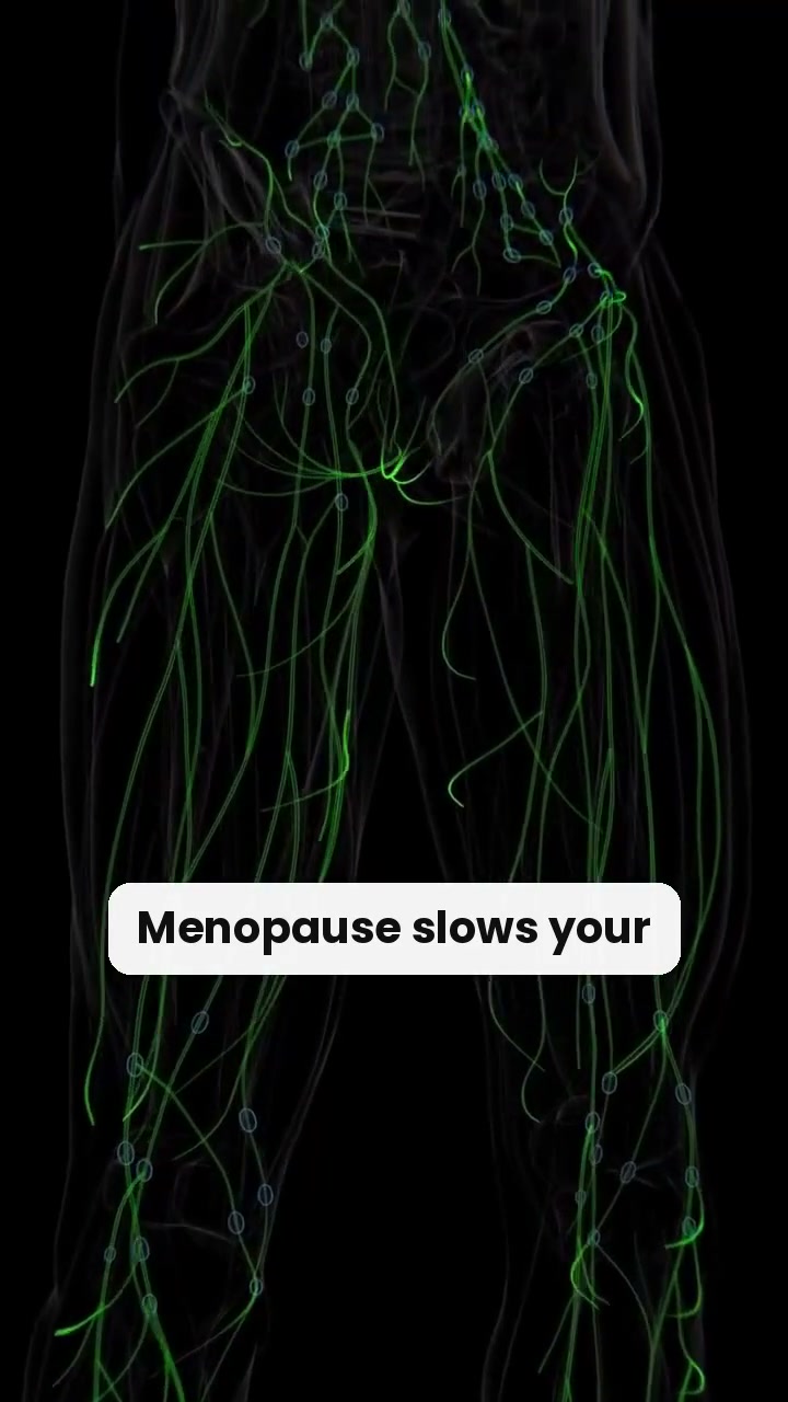 Don’t Blame Your Lifestyle — Fix The Lymphatic System First