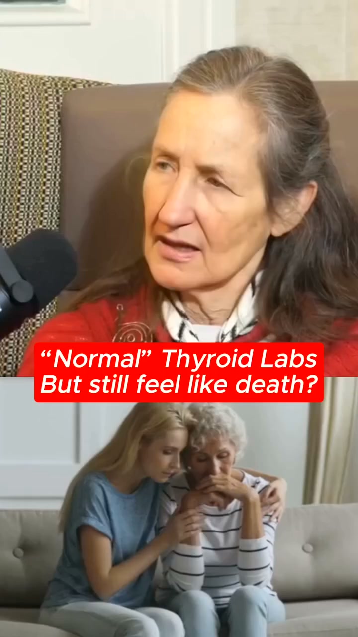 Normal Labs, Still Exhausted?