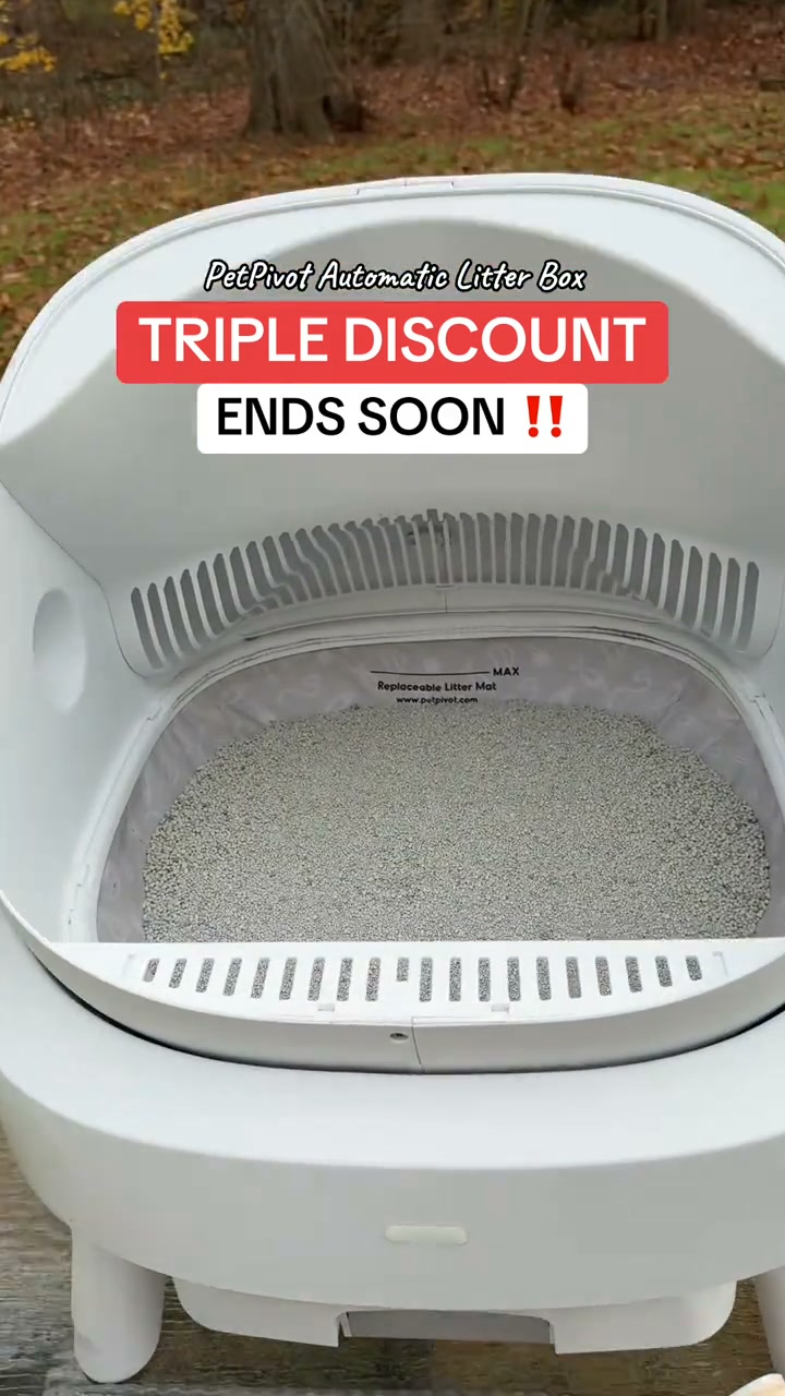 Stop Scooping Every Single Day