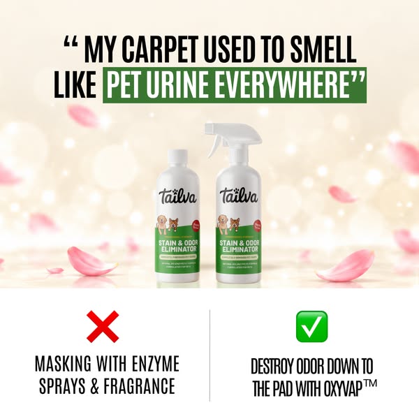 Animal Shelters Use This to Erase Stains & Odors