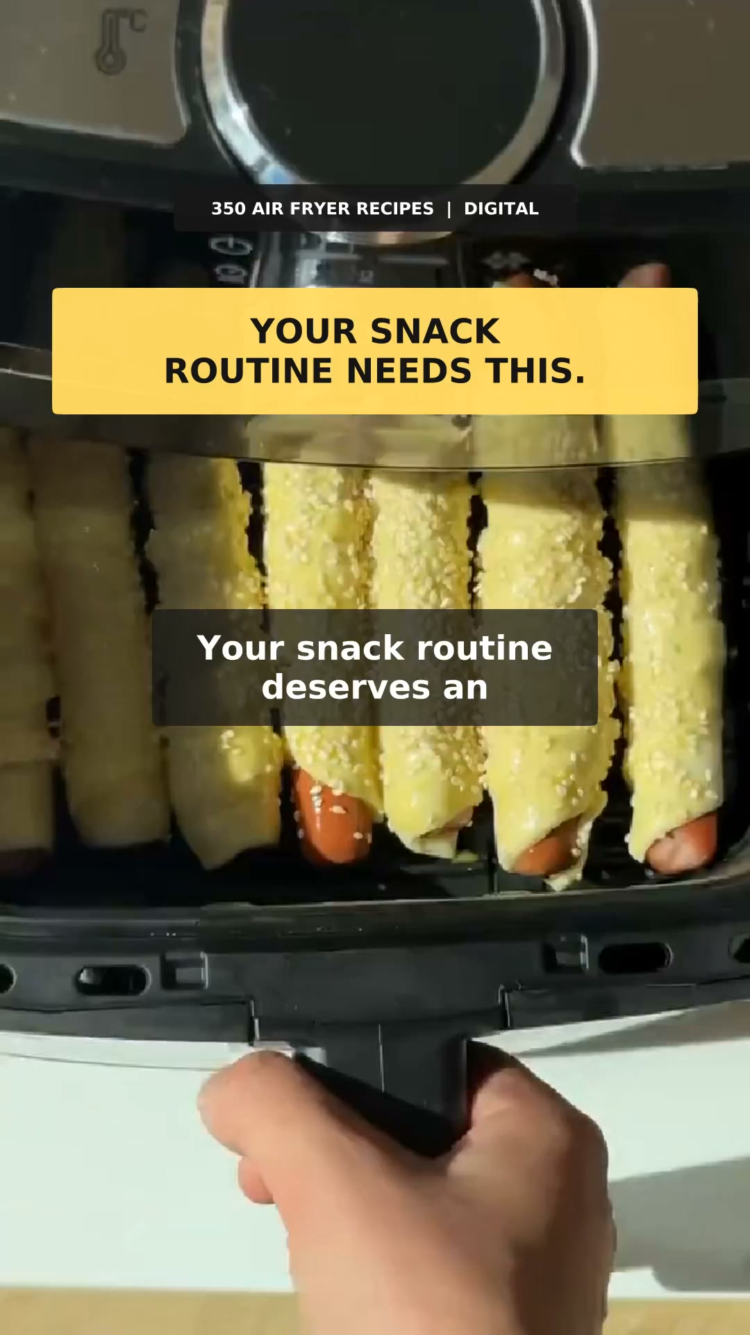 Meals in Minutes with the Air Fryer
