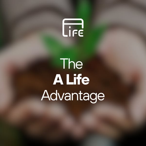 Leader In Sustainable Manufacturing