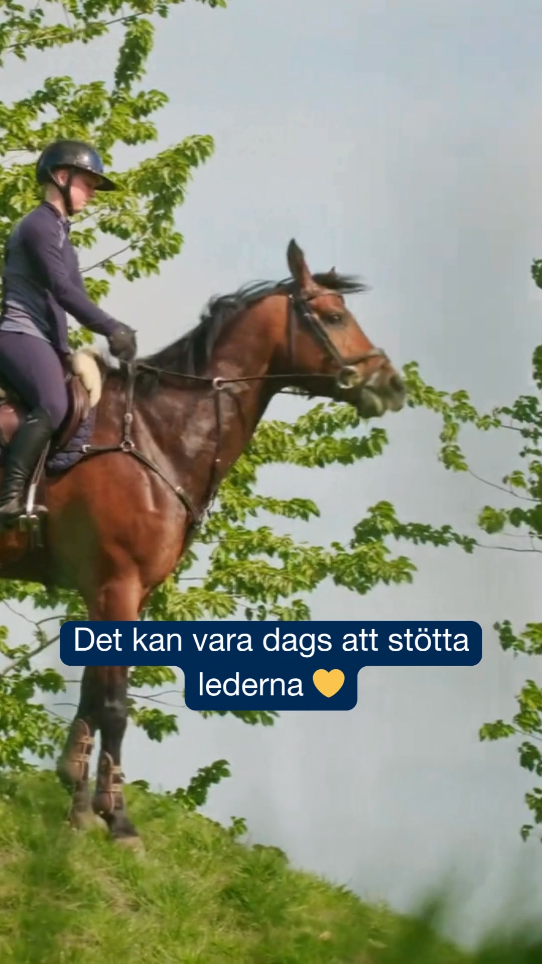 Fri frakt - Arthri Aid främjar din hästs ledhälsa!