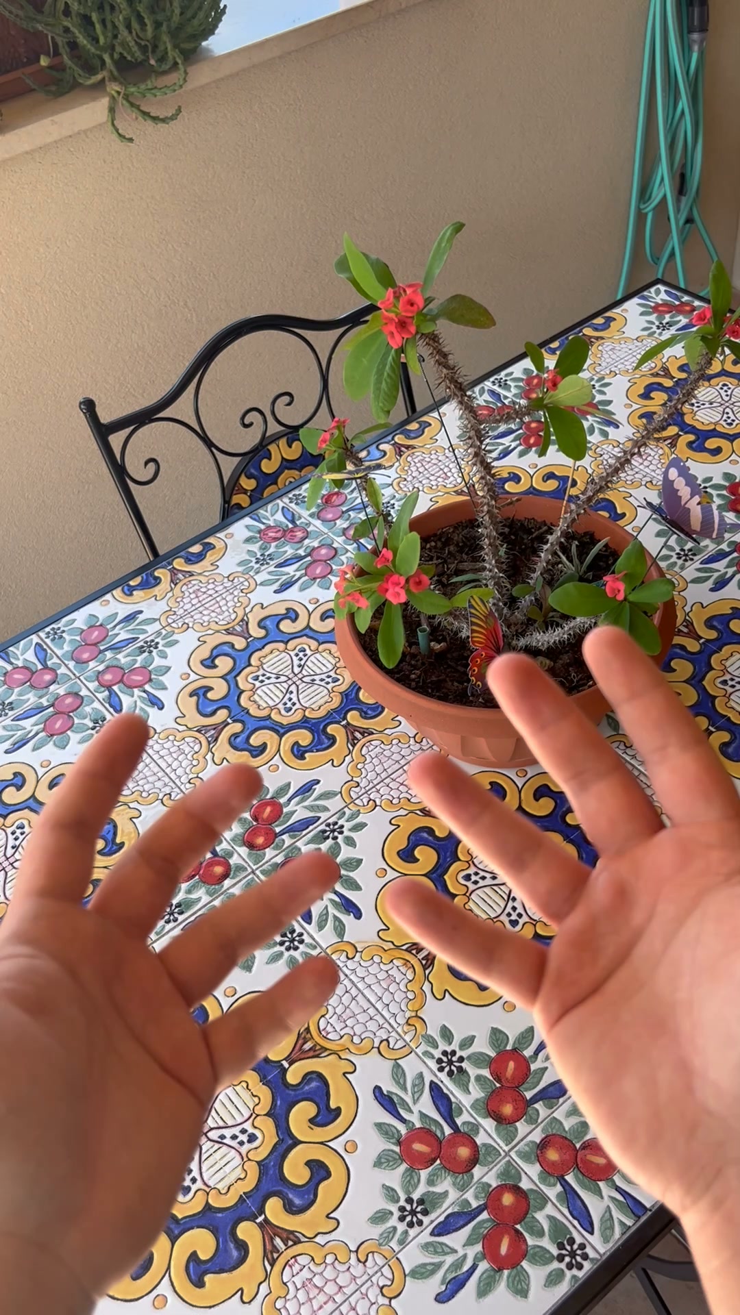 Regalo Per i Nonni