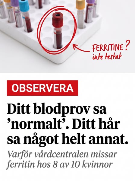 Läs artikeln