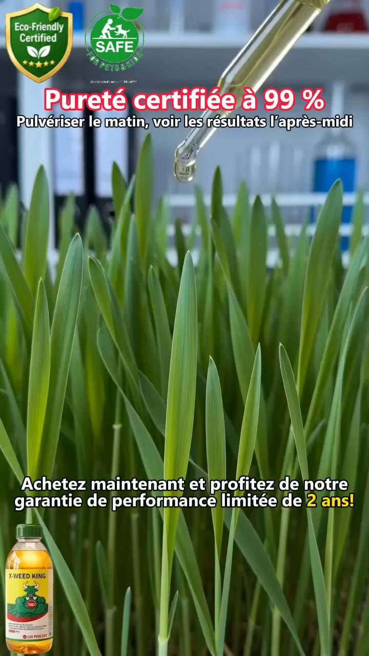 50 % Aujourd'hui seulement