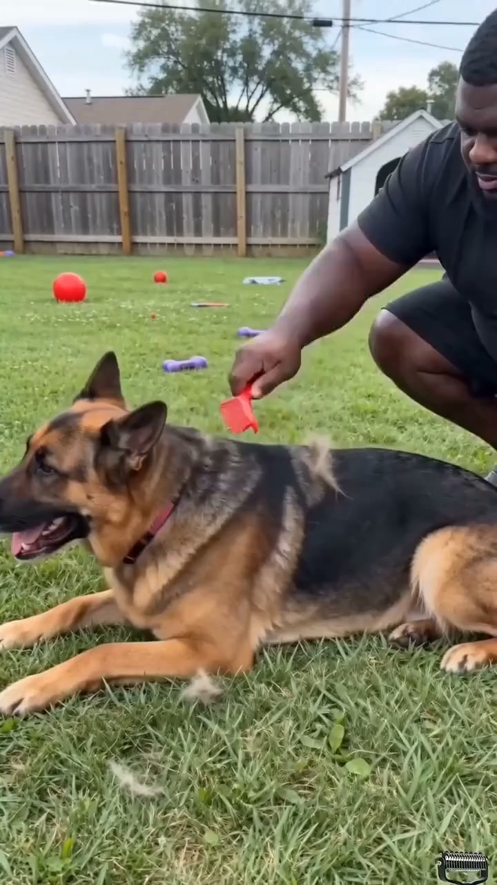 Gently Detangle & Reduce Shedding!