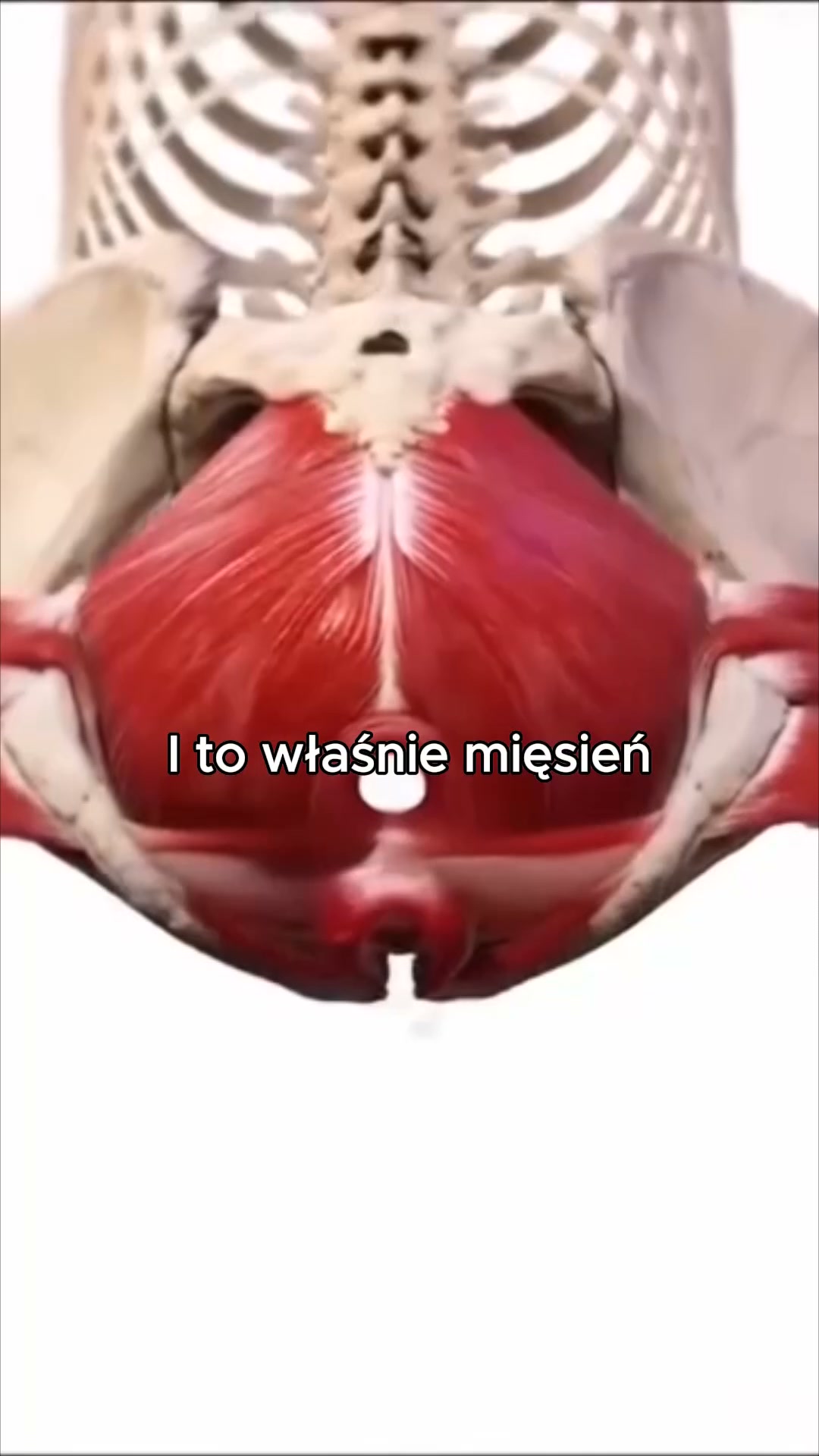 Poczuj się znów sobą 15 minut dziennie