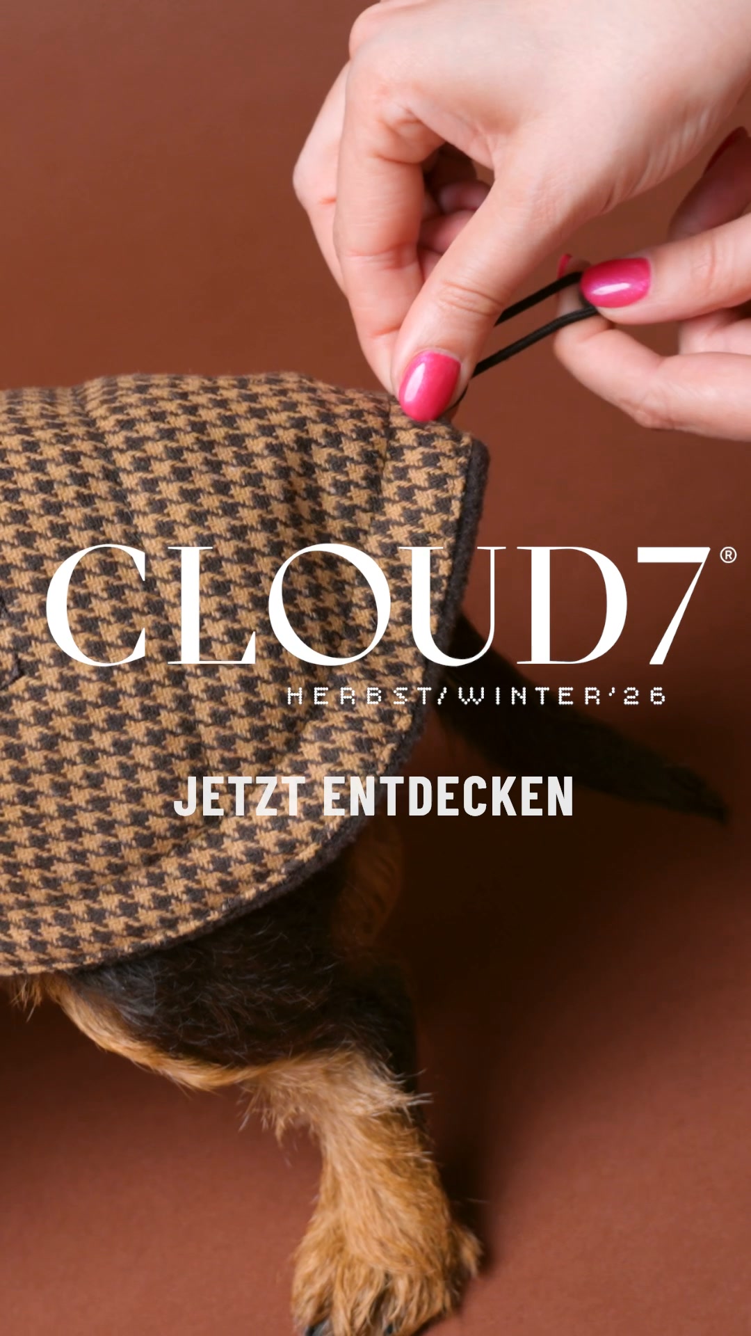 Wetterfest für jeden Hund