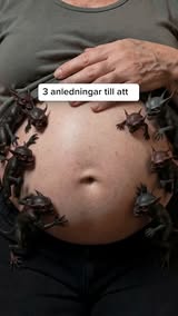 Gå ner i vikt med Craveless