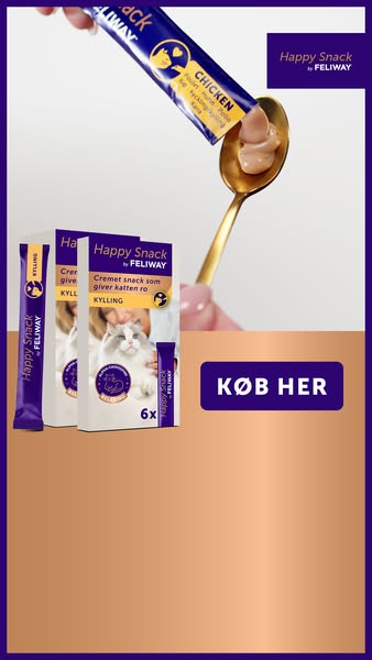 En cremet snack, som katte elsker