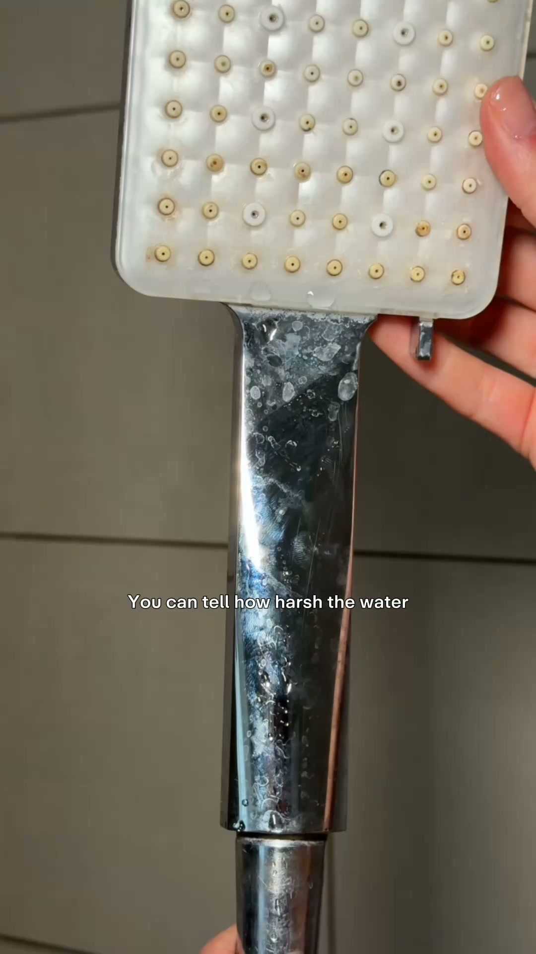 Your shower deserves better water