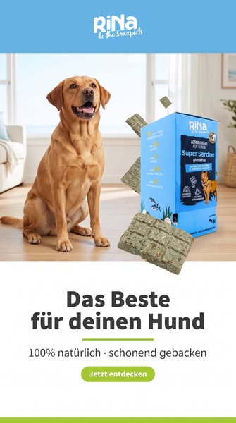 Das Beste für deinen Hund entdecken!