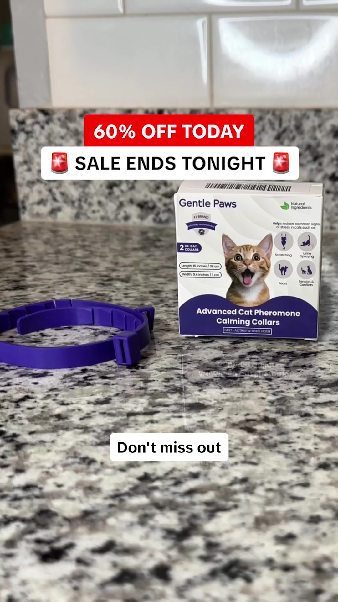 Don’t Overlook These Cat Behaviors!