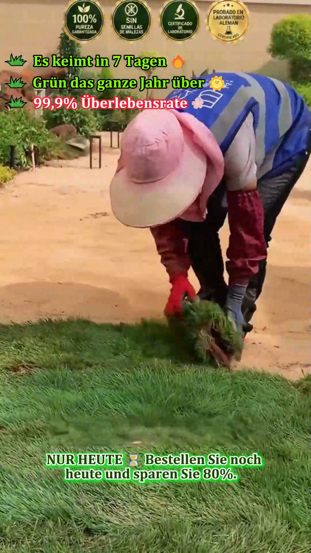 In 7 Tagen zum perfekten Golfplatz-Rasen – Garantiert oder 10-faches Geld zurück