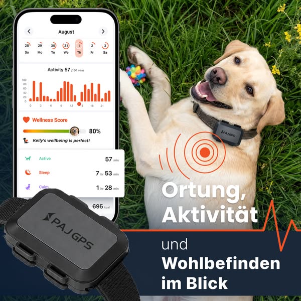 GPS Tracker mit 24/7 Support