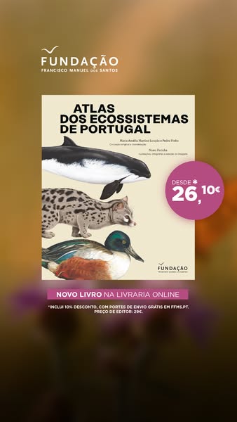 Novo livro